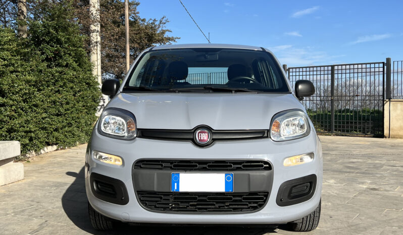 Fiat Panda 1.2 69cv Easy completo