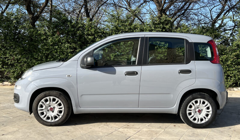 Fiat Panda 1.2 69cv Easy completo