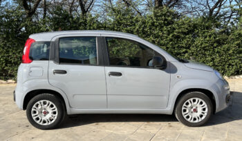 Fiat Panda 1.2 69cv Easy completo